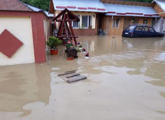 La inundatii s-a vazut ce competenti sunt angajatii statului