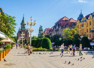 Surprize din Timișoara