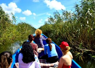 Ce nu trebuie sa ratezi in Romania