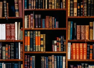 294 Citate Despre Educatie pline de adevar