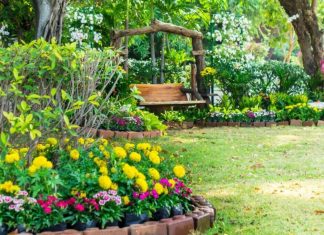 7 idei pentru a decora o gradina mica