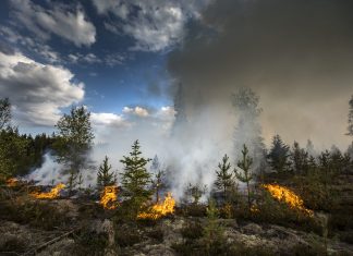 Impactul incalzirii globale asupra economiei mondiale