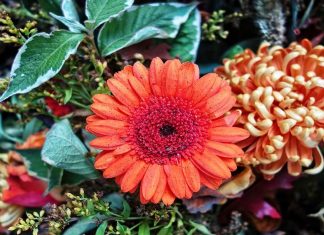 Specialistii in pompe funebre sunt intotdeauna pregatiti si acolo unde este nevoie de ei