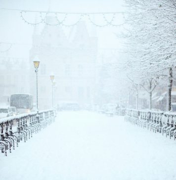 8 filme care pot transforma liniștea serilor de iarnă într-o adevărată aventură